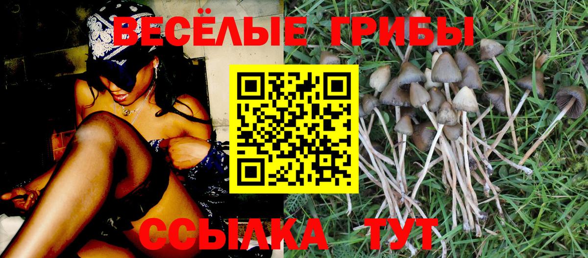 Псилоцибиновые грибы мухоморы Кушва